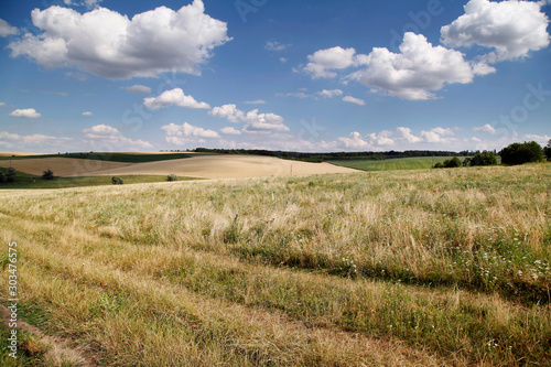 Field scene in the summer.