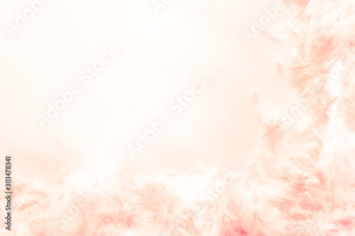 Beautiful abstract colorful white and orange feathers on dark background and soft white pink feather texture on white pattern © Weerayuth