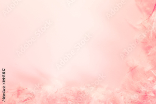 Beautiful abstract colorful white and orange feathers on dark background and soft white pink feather texture on white pattern