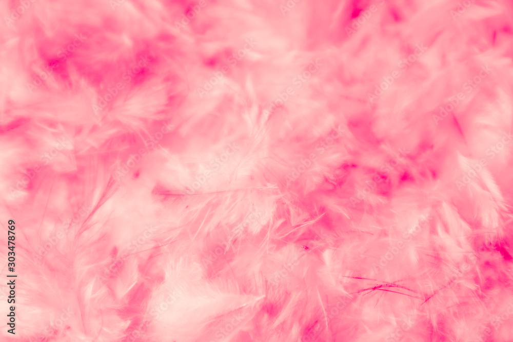 Beautiful abstract colorful white and orange feathers on dark background and soft white pink feather texture on white pattern
