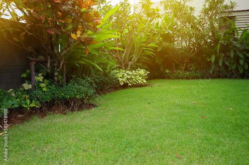 lawn landscaping with green grass turf in garden home