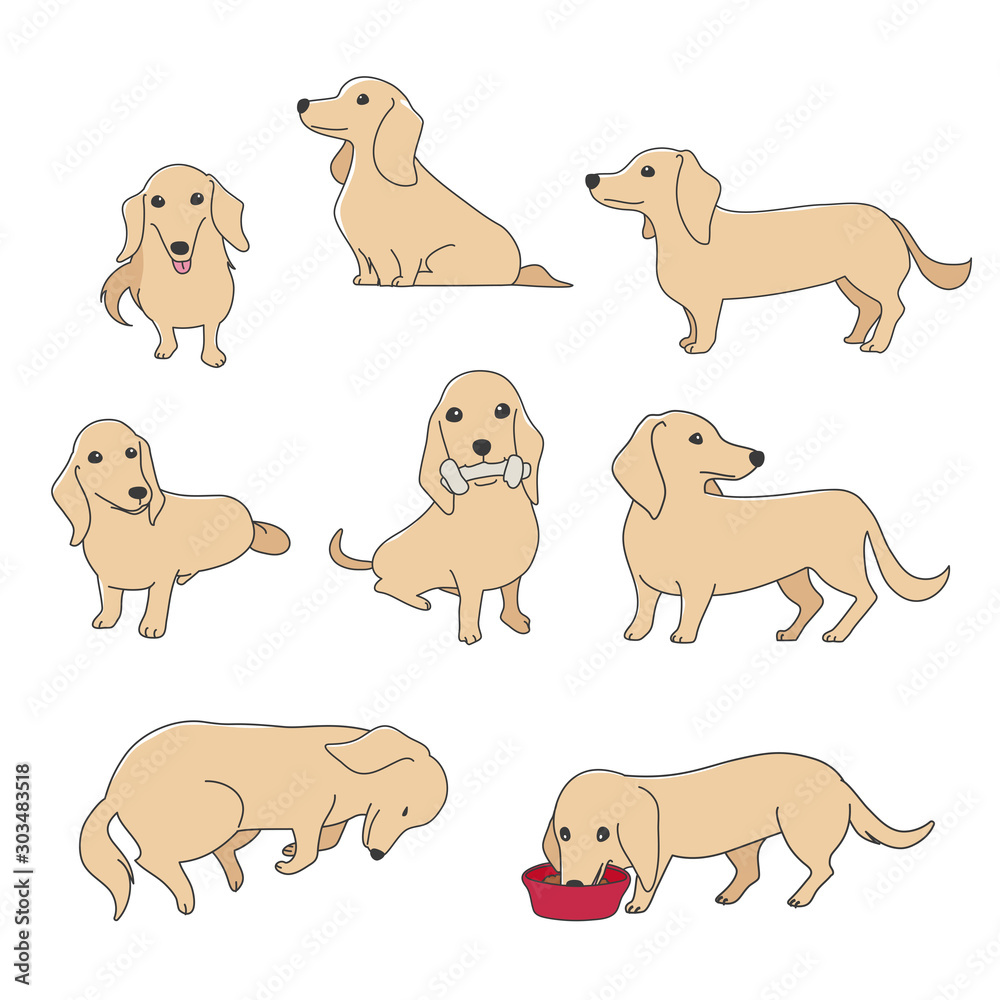 犬 ポーズ 表情 ミニチュアダックスフンド バラエティ Stock Vector Adobe Stock