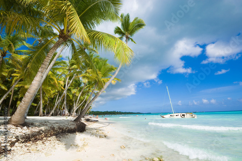 Fototapeta Naklejka Na Ścianę i Meble -  Tropical beach in Caribbean sea, Saona island, Dominican Republic