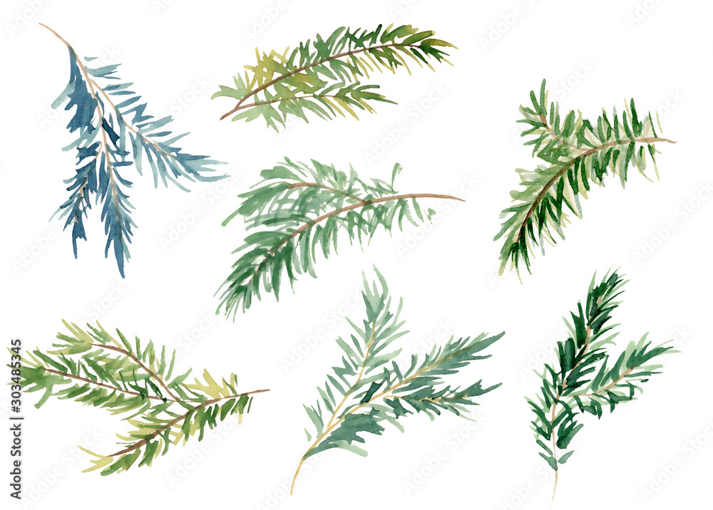 Watercolor fir branches hand drawn illustration  - obrazy, fototapety, plakaty 