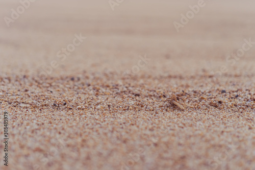 Brown sand texture background from fine sand with natural line wave.