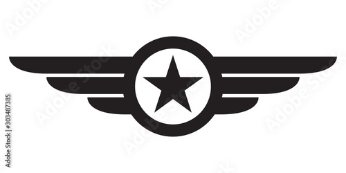 Star with wings logo. Military and Army winged badge. Aviation emblem. Vector illustration.