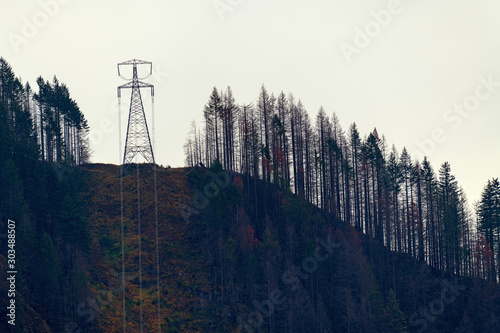 High voltage power lines crossing a mountain summit near Bonneville Lock and Dam, Oregon, USA photo