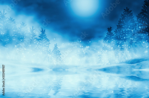 Background of winter night landscape. Forest reflection on water © Laura Сrazy