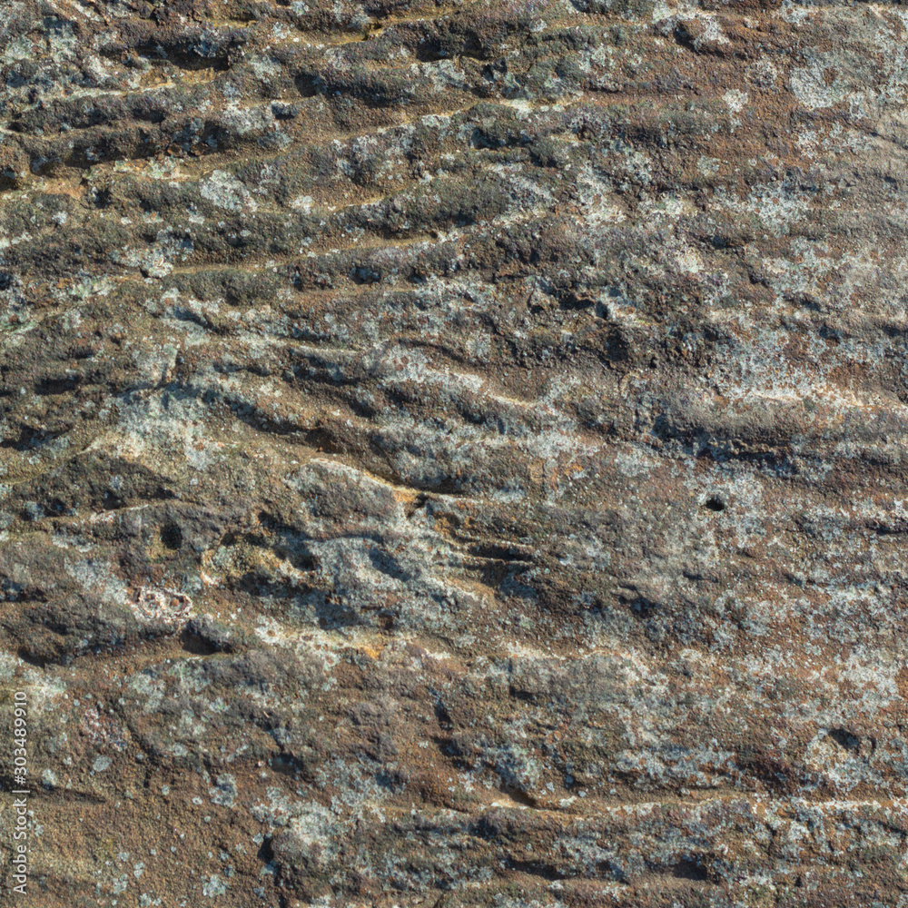 Stone Surface Texture