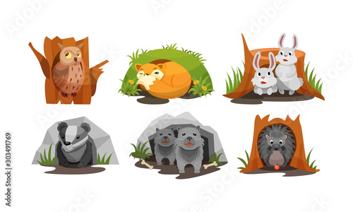 Cute Forest Animals Peepped Out From Their Burrows Vector Set