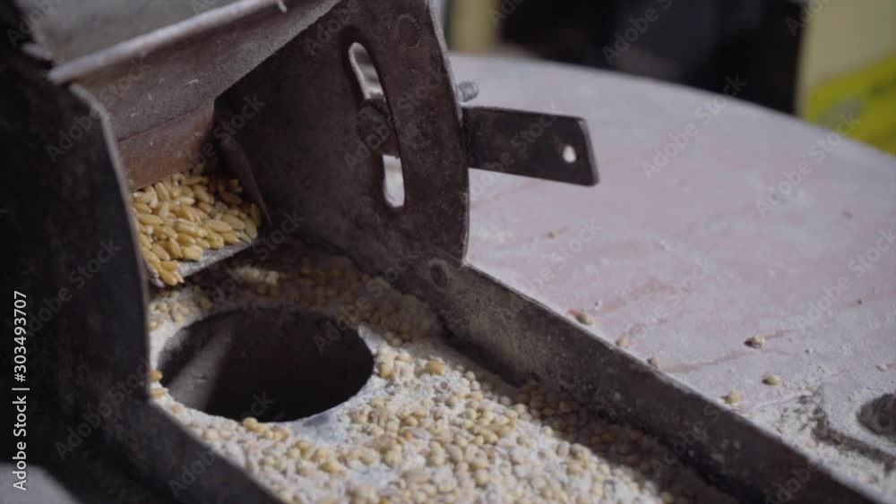 wheat grinding machine closeup wheat falling in the grinder . wheat grinding machine closeup wheat falling in the grinder .