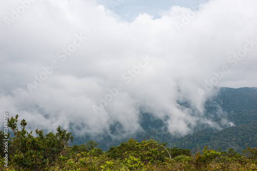 Fog and cloud mountain valley spring landscape