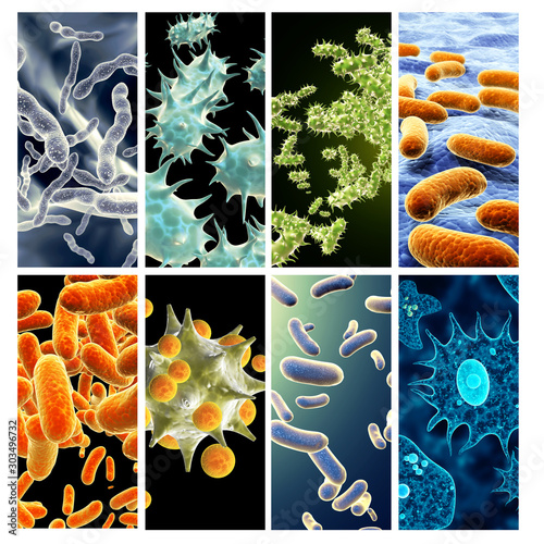 Set of vertical banners with pathogenic bacterias and viruses
