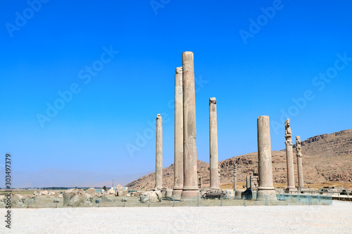 Columns and ruins of Apadana Palace  Persepolis   Iran