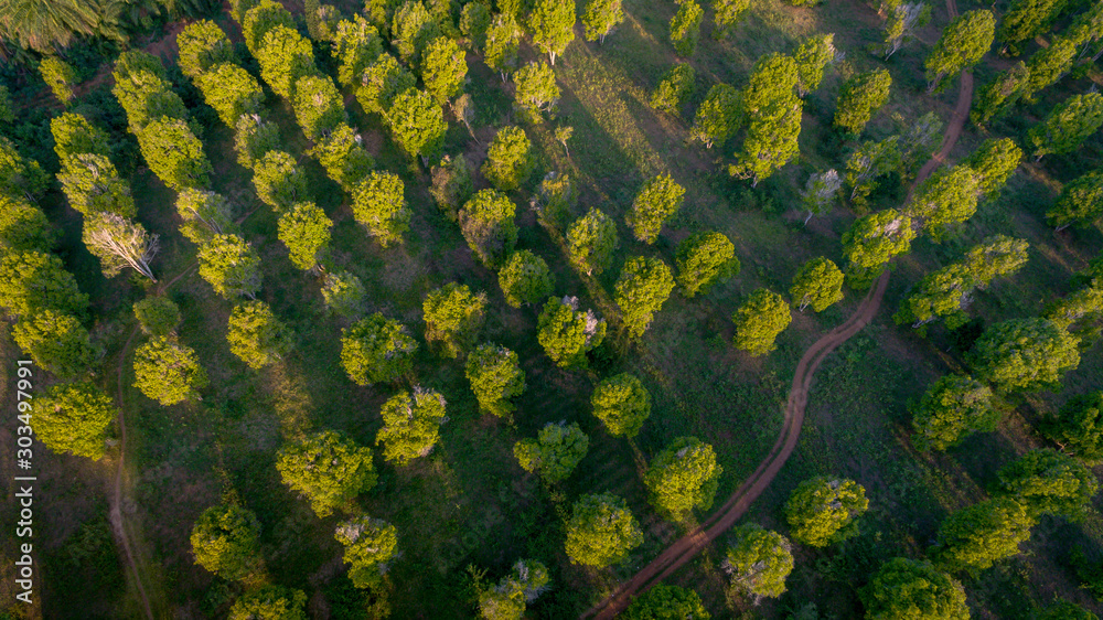 aerial view of the Kizimbani spice farm, Zanzibar