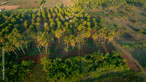 aerial view of the Kizimbani spice farm  Zanzibar