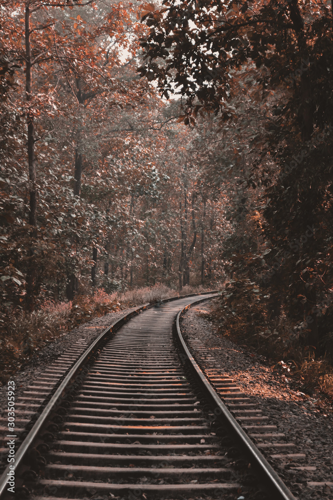 Fototapeta premium Autumn path