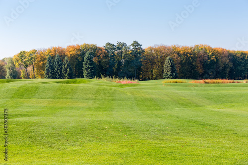 Large lawn with mown grass against autumn forest and sky
