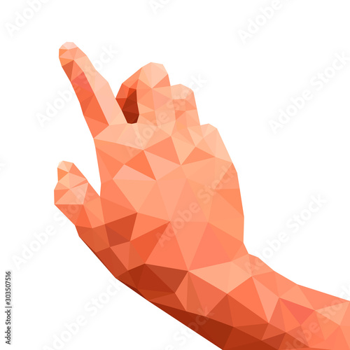 Brown polygon right hand on white background.