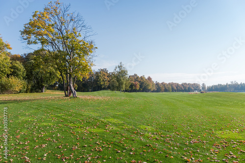 Large grassplot with mown grass against autumn forest photo