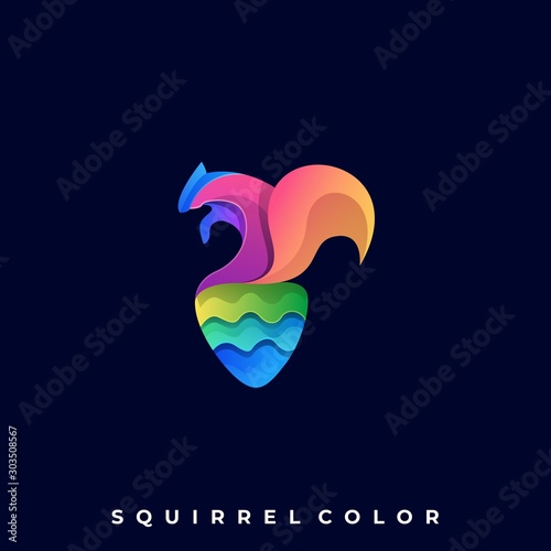 Squirrel Colorful Illustration Vector Design Template
