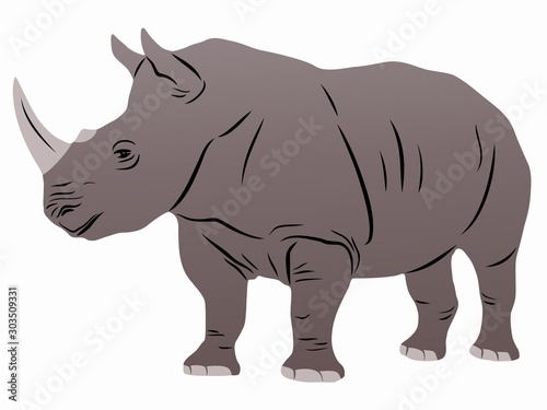 isolated illustration of rhino , vector drawing