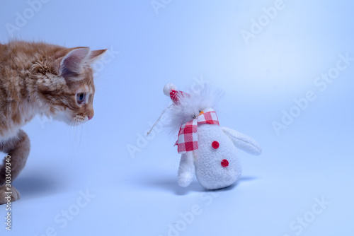cat and snowman