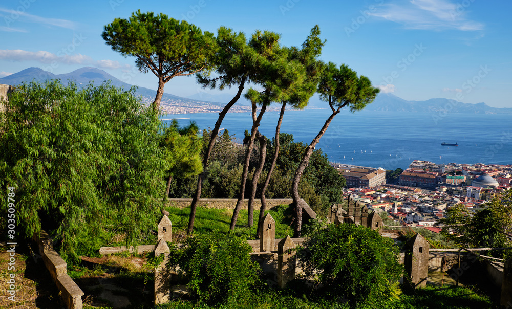 Foto di Napoli scattata dai giardini del museo della Certosa di San Martino.