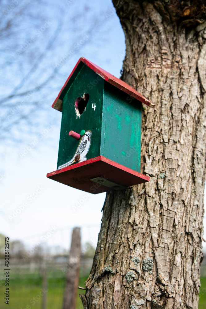 birdhouse hung on the tree birdhouse hung on the tree