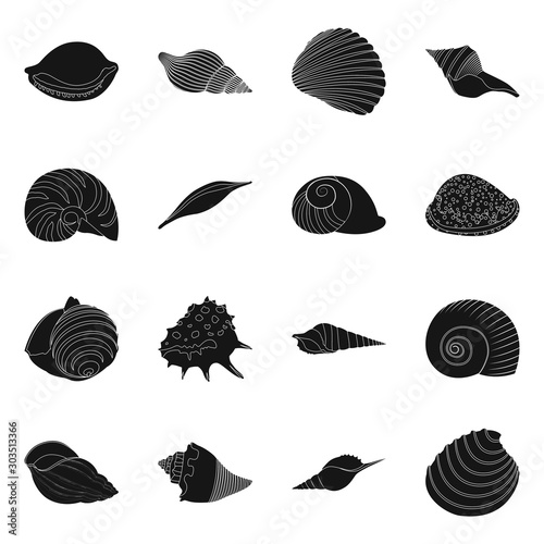 Vector illustration of nature and ocean icon. Set of nature and mollusk stock symbol for web.