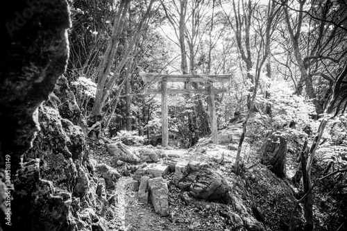 日本・秩父 山頂の風景