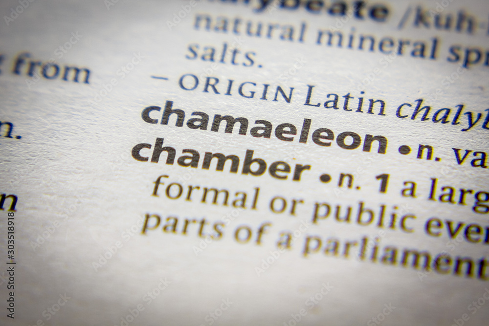 Obraz premium Word or phrase Chamaeleon in a dictionary.