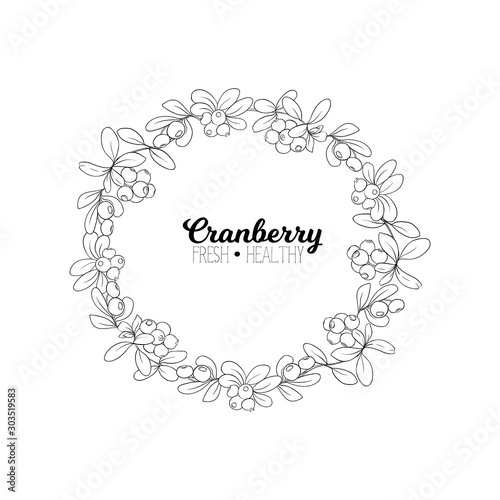 Cranberry. Element for design. Good for product label. Outline hand drawing vector illustration..