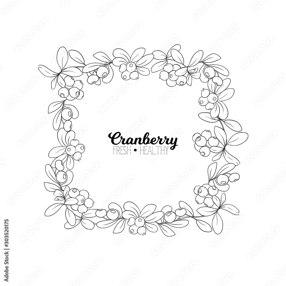 Cranberry. Element for design. Good for product label. Outline hand drawing vector illustration.. Cranberry. Element for design. Good for product label. Outline hand drawing vector illustration..