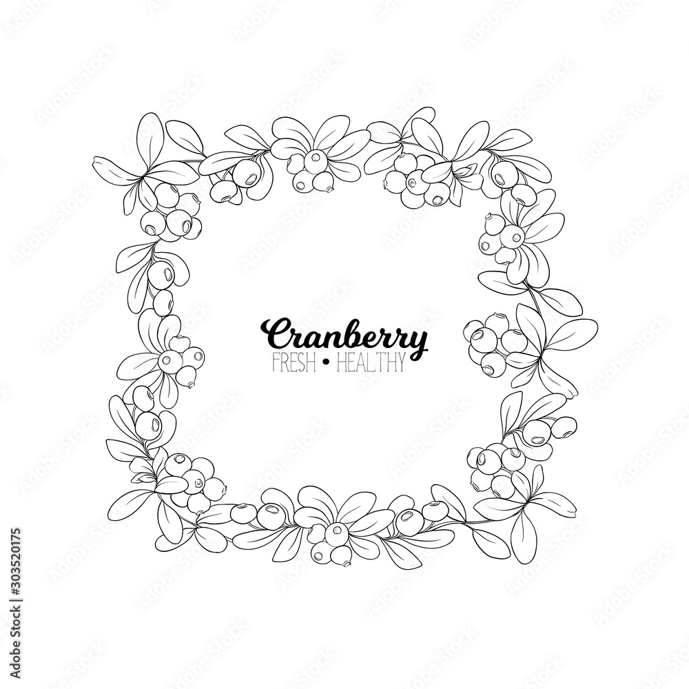 Cranberry. Element for design. Good for product label. Outline hand drawing vector illustration..