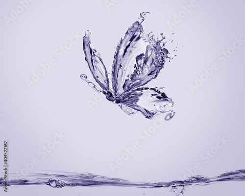 Violet Water Butterfly