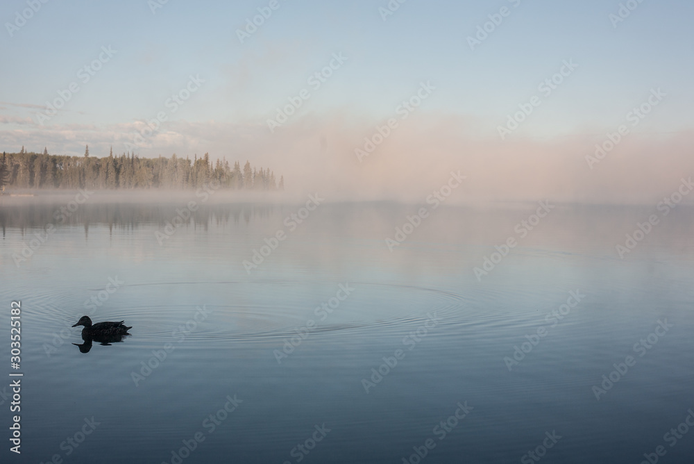 Morning on the lake