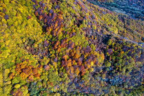 Aerial view of autumn forest . Amazing landscape , trees with red and orange leaves in day, National Park Livaditis Xanthi, Greece © ververidis