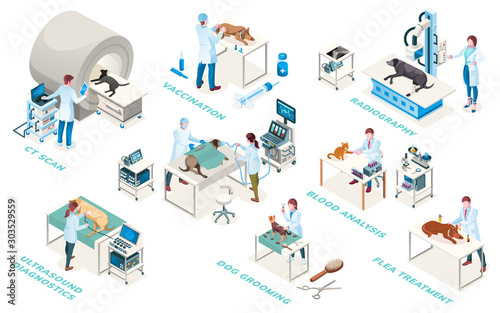 Veterinarian clinic doctors, diagnostic and treatment services, vector isometric icons. Veterinary medicine surgery, medical examination ultrasound, blood analysis, radiography and vaccination