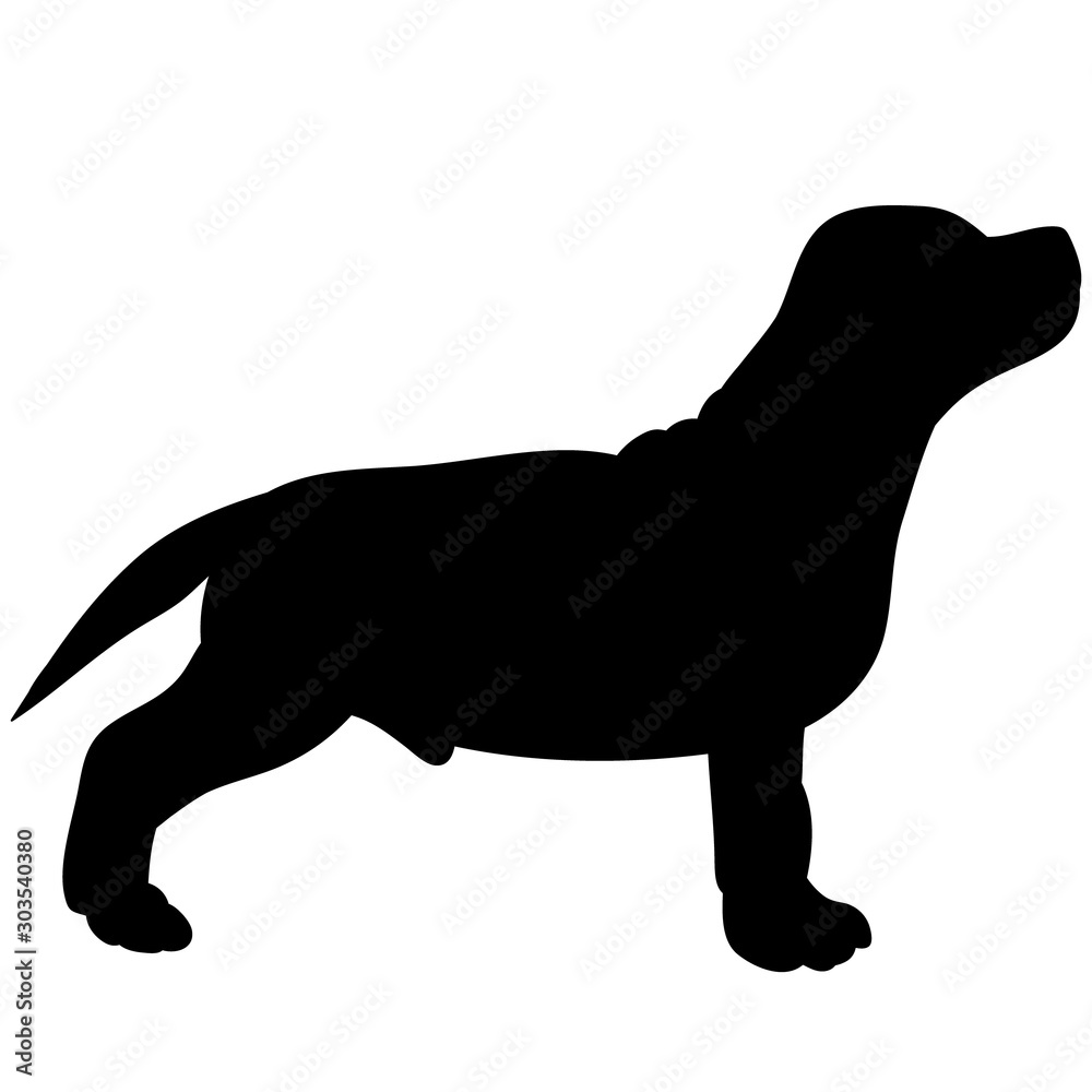 vector, on a white background, black silhouette of a dog standing