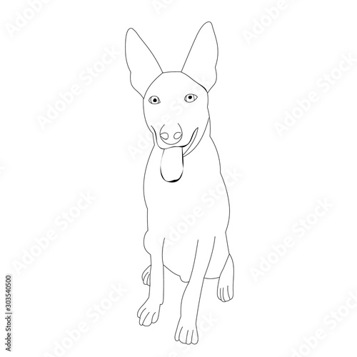 vector, on a white background, outline, sketch dog sitting