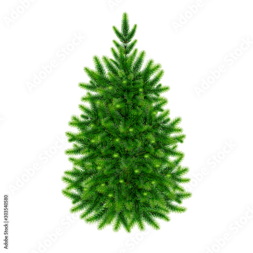Fluffy Green  Fir-Tree