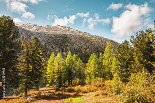 Panorama of beautiful landscape. View of the mountain range, with coniferous forest. Mountainous landscape in autumn with snow-capped peaks