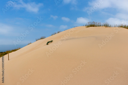 The beautiful sand dunes at Guincho  Portugal