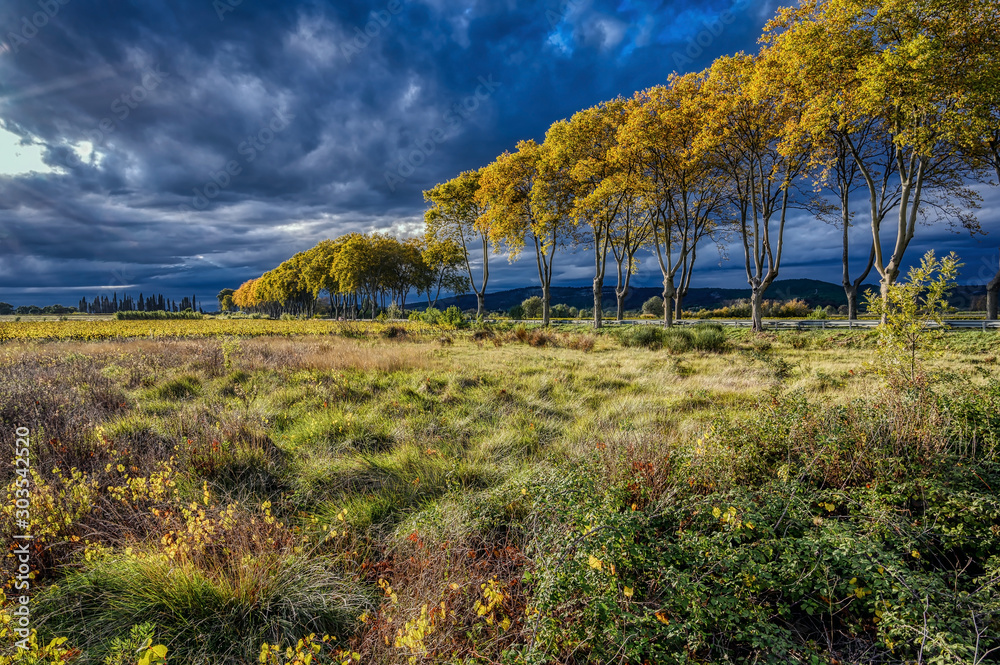 Φωτογραφία Autumn vineyards in the Languedoc region of the south of France