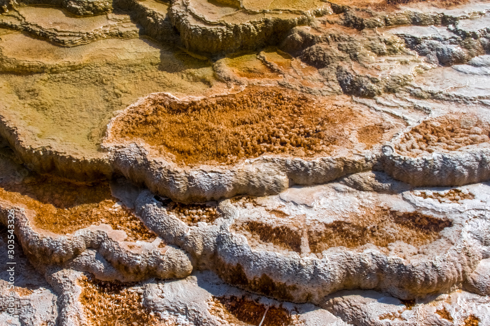 Fototapeta premium Geyser in Yellowstone National Park. USA. Wyoming
