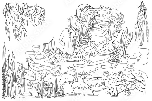 Evening pond, mermaids with long beautiful hair, willow branches, river plants and flowers, frogs, mermaids dance, vector illustration, outline drawing, coloring book