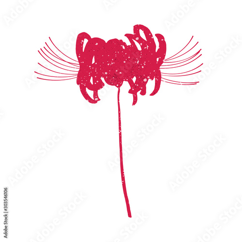 Hand drawn spider lily silhouette on whit © kbel