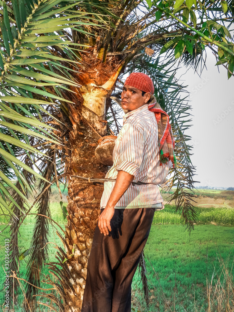 Ταπετσαρία A Village Firmer of India collecting dates juice in winter