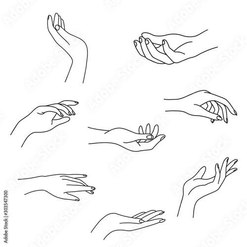 Woman's hand collection line. Vector Illustration of female hands of different gestures - victory, okay. Lineart in a trendy minimalist style. Logo design, hand cream, nail Studio, posters, cards.
